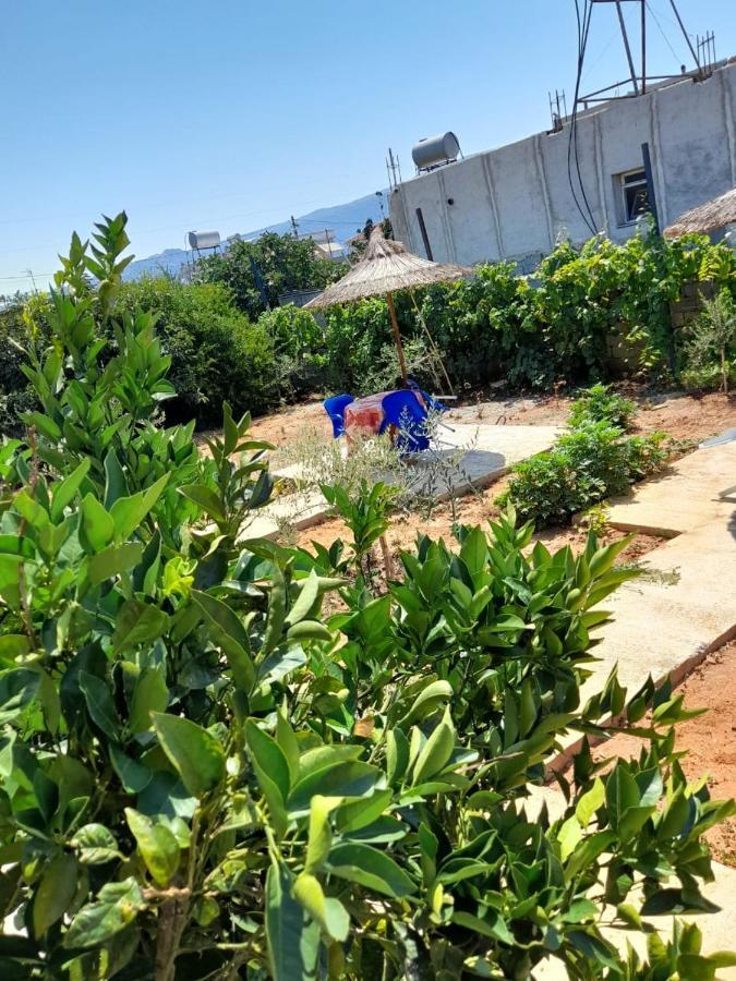 Rey Garden Villa Vlorë Buitenkant foto